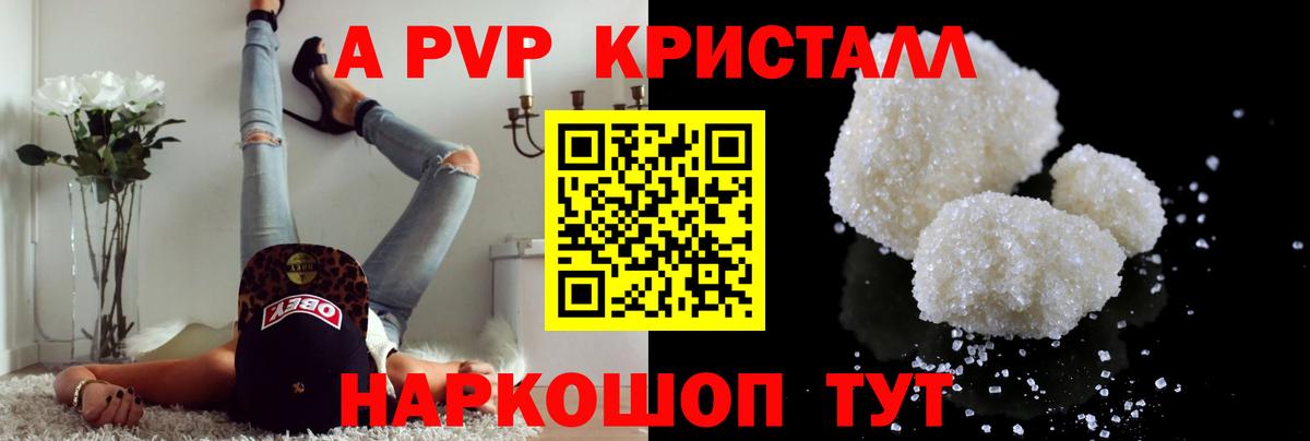 Альфа ПВП СК Тамбов