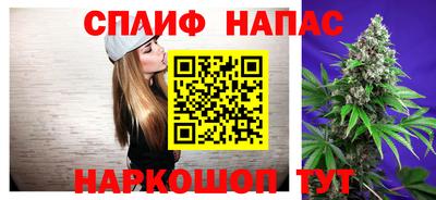 МДПВ Пенза