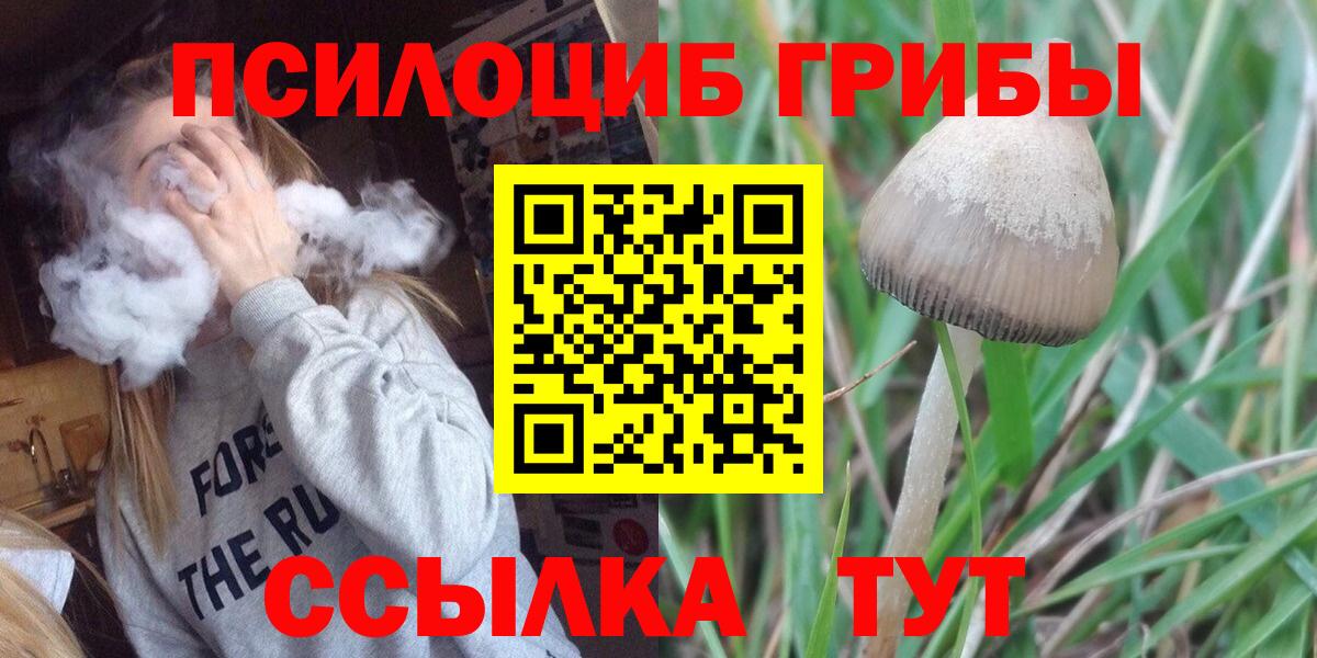 Галлюциногенные грибы Psilocybine cubensis  Вход с VPN  Тамбов  где купить наркотик  Галлюциногенные грибы MAGIC MUSHROOMS 