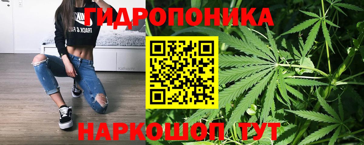 Каннабис индика Тамбов